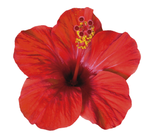 Product floating image 2