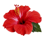Product floating image 3
